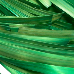 paille de seigle aplanie   citron vert   10 gr