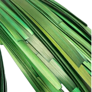 paille de seigle aplanie   vert juniper   10 gr