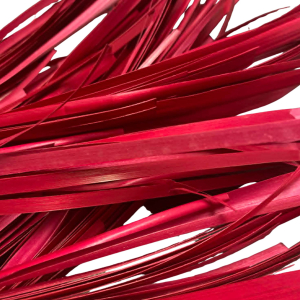 paille de seigle aplanie   bordeaux   10 gr