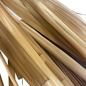 paille de seigle aplanie   vieillie n 2   10 gr
